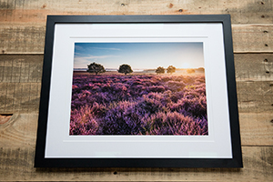 Giclee Printing and professional custom picture framing