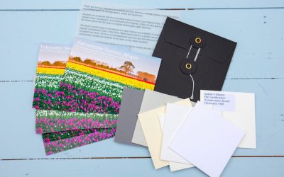 New Paper Sample Packs